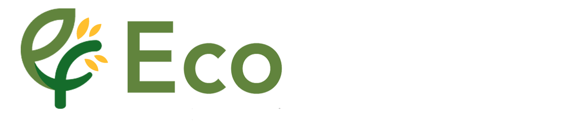 EcoFocus Research
